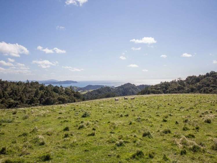 884 Kaiikanui Road Hukerenui and Surrounds_19