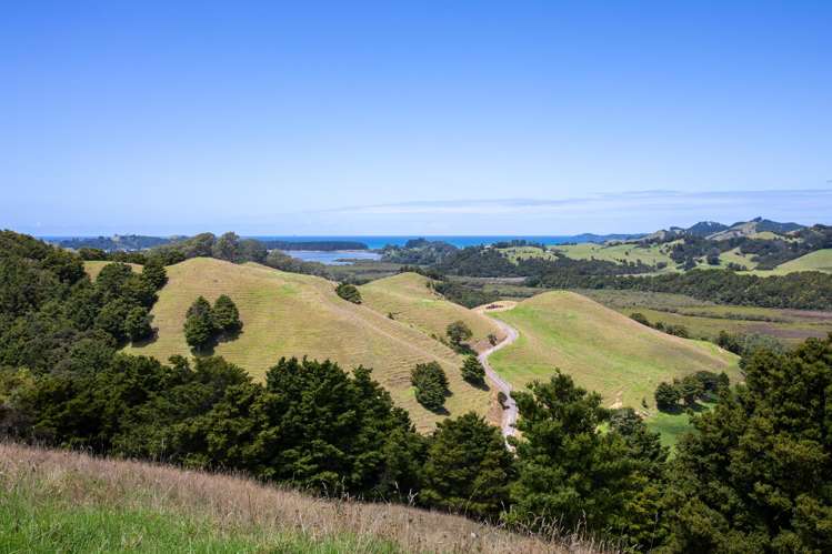 538 Hailes Road Whananaki_12