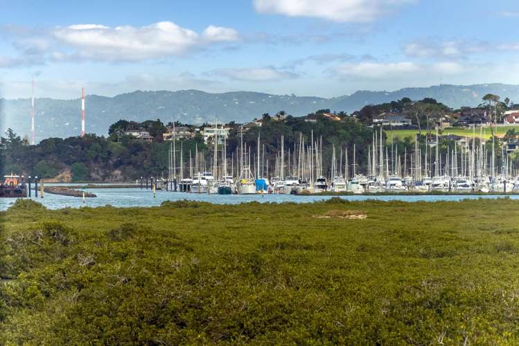 11/10 Ngaroma House Drive Hobsonville_24