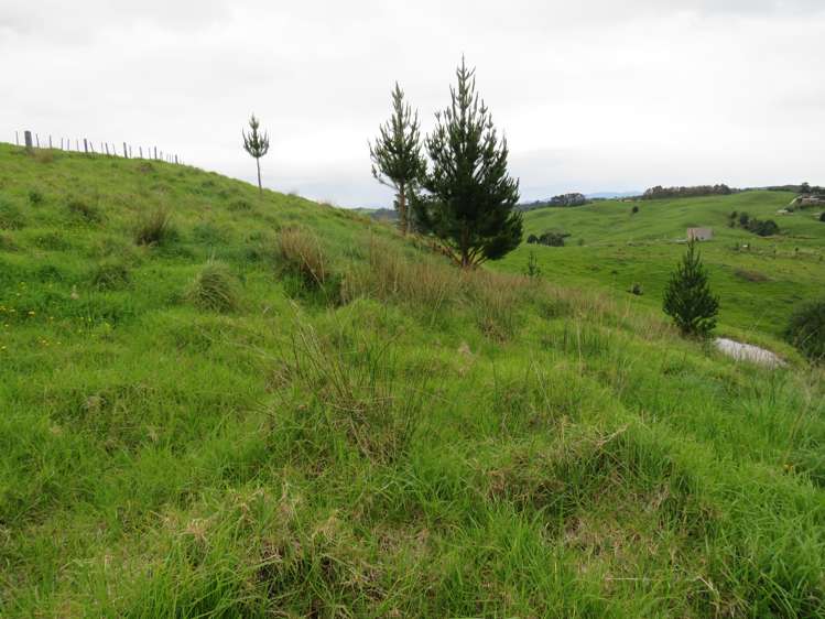 289 Franklin Road Paparoa_20