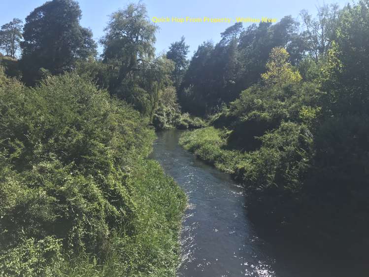 301 State Highway 5 Tirau_14