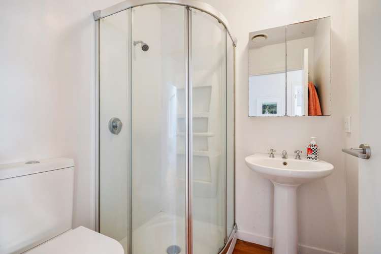 26 Springleigh Avenue Mount Albert_15