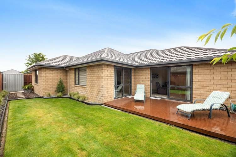 4 Korari Grove Redwoodtown_24