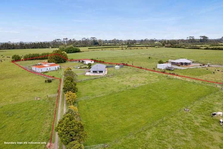 145 Johns Road Tariki_23