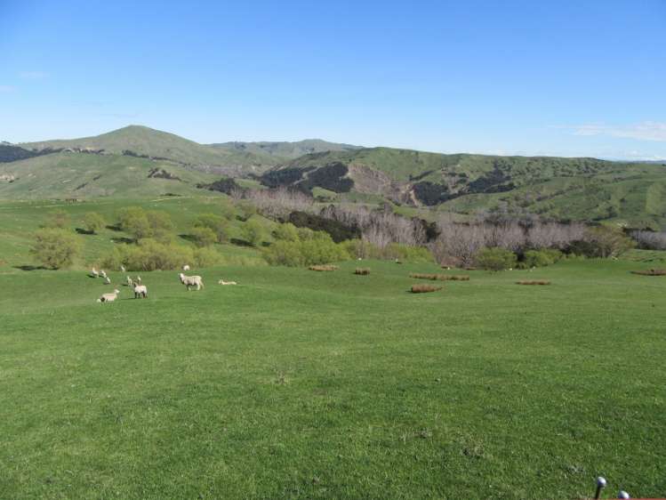 585 Mangakuri Road Elsthorpe_6