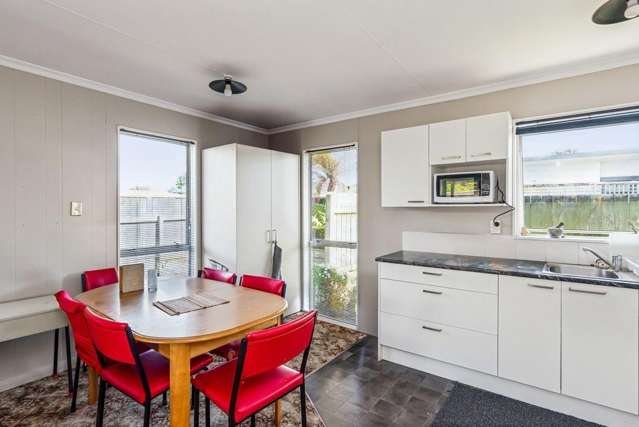  179 Tiro Tiro Road Levin_1