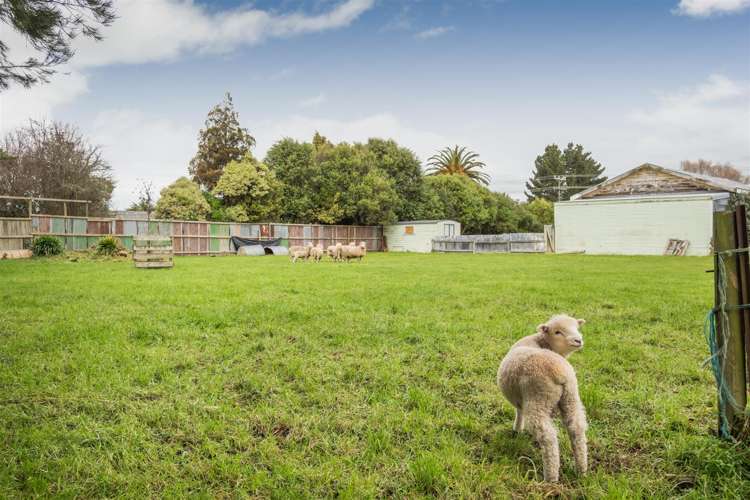 93 Pukepapa Road Marton_5