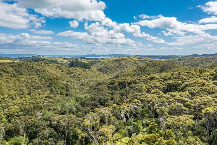 333 Cowes Bay Road Waiheke Island_9