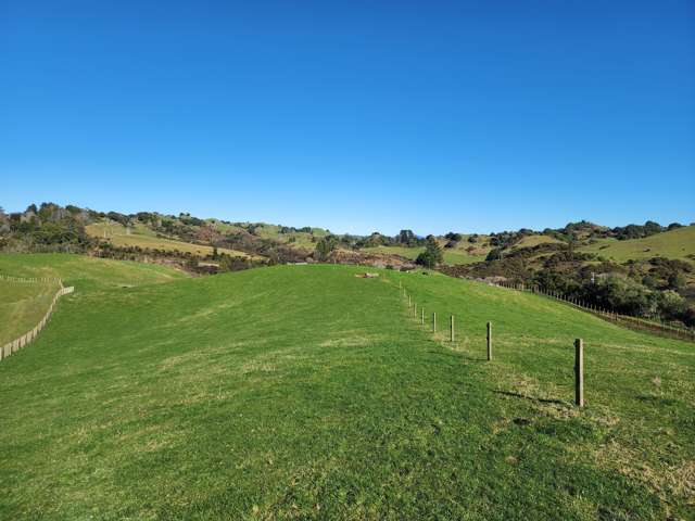 Te Anga Road Waitomo_3