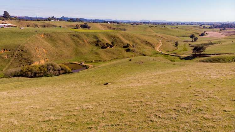 35 Grove Access Road Karamu_46