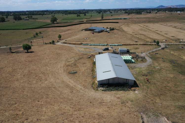 111 Mill Road Ohaupo_7