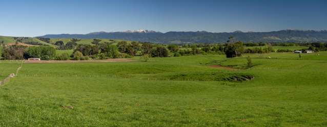 1572 Ponatahi Road Carterton_2