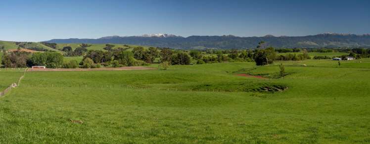 1572 Ponatahi Road Carterton_2