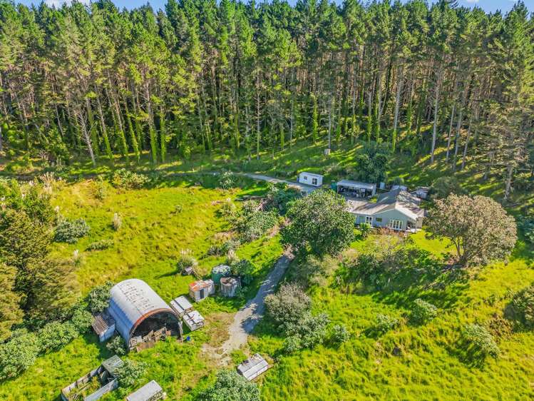 110 Whangape Track Road_1