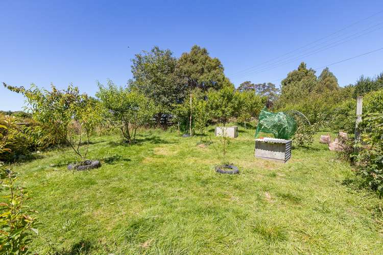 724 Norfolk Road Upper Plain_18