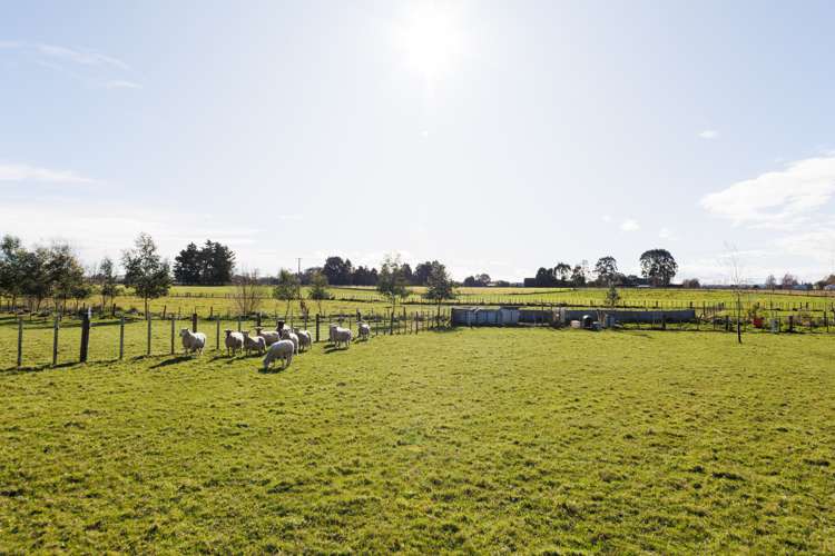 62 Nga Tawa Road Marton_17