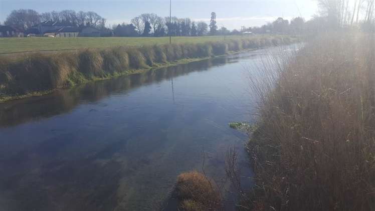 6 Candy Crescent Kaiapoi_14