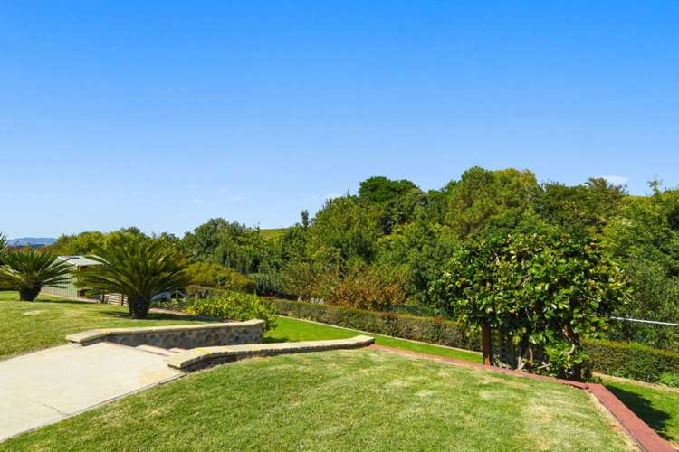 7 Olive Close Omokoroa_11