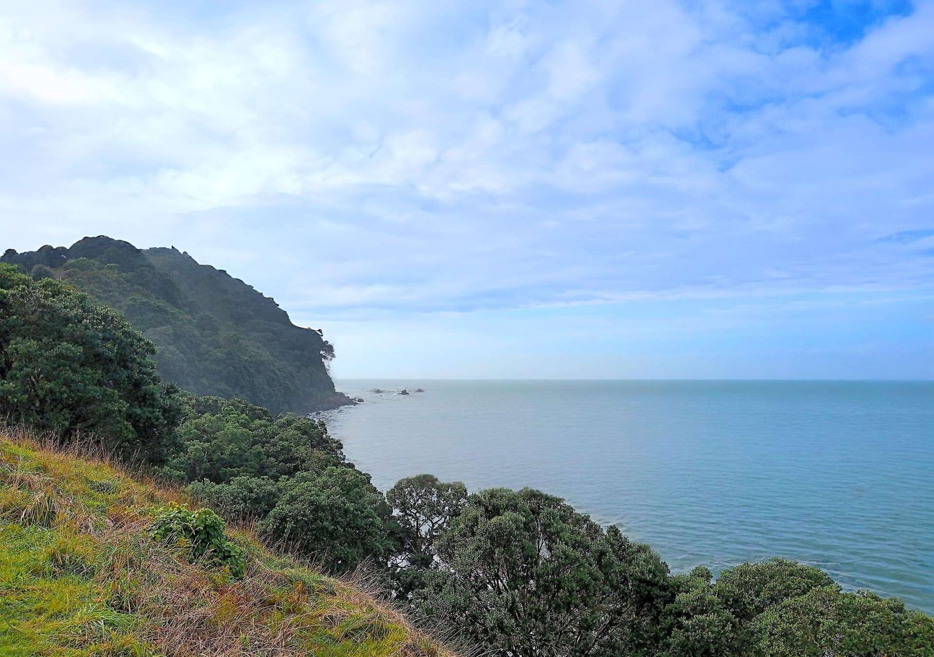 820 Thames Coast Road Te Mata_0