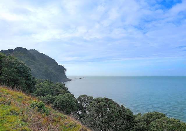 Rare, affordable section - Ready for your vision!