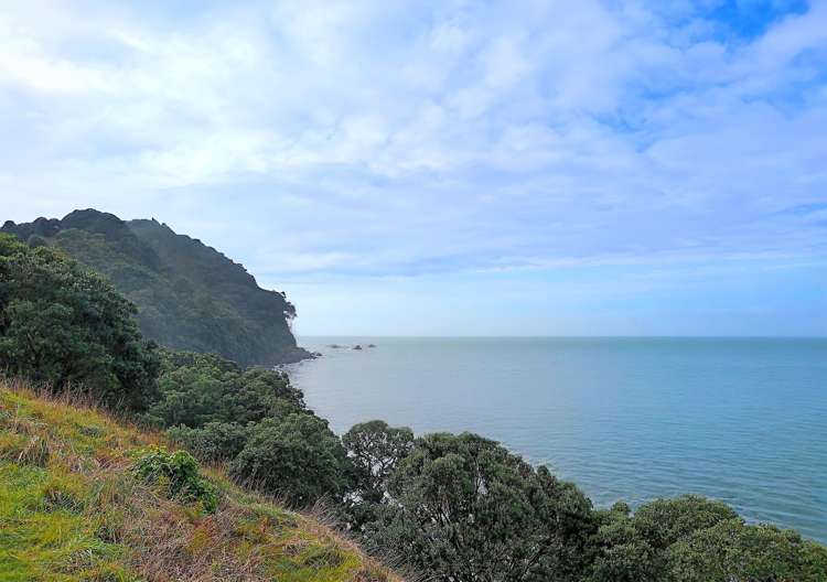 820 Thames Coast Road_0