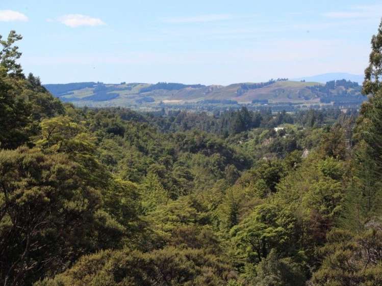 250 Glentui Bush Road Glentui_4