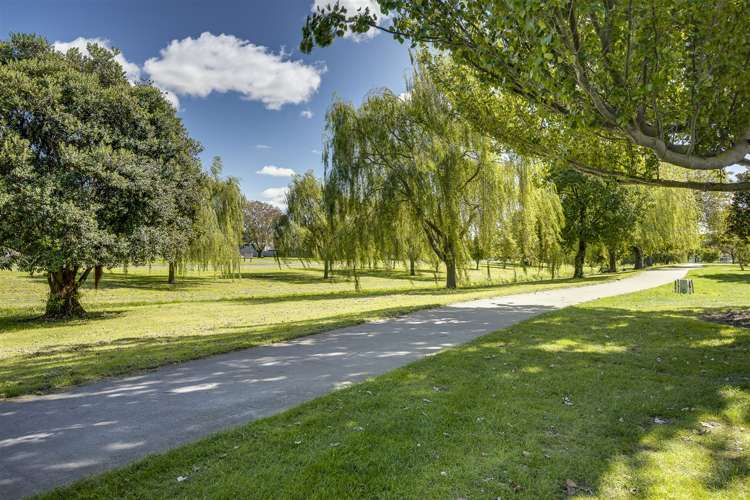 4 Chambers Street Napier South_21