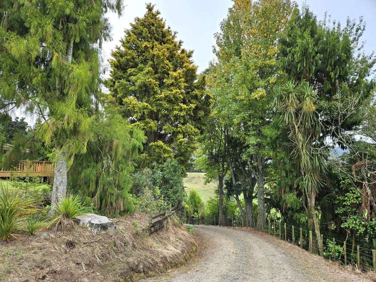 1395 No 3 Road Te Puke_7