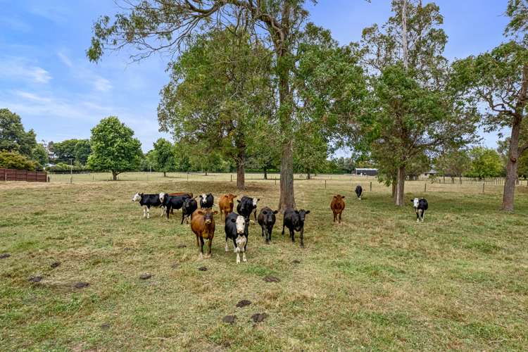 267 Matangi Road Matangi_24