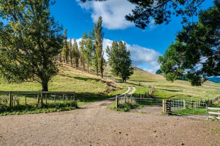 Mangleton Road Central Hawkes Bay Country_5