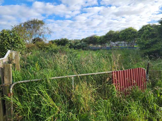 34 Brassey Street Waverley_3