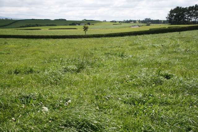 178 Omahuru Road Okaiawa_1