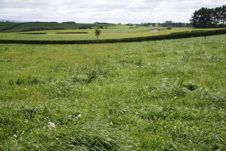 178 Omahuru Road Okaiawa_1