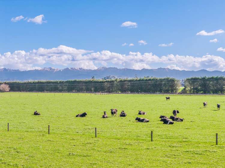 337 Ongaonga Waipukurau Road Ongaonga_12