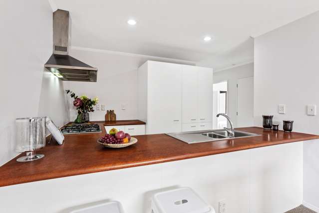 18l Hudson Street Ellerslie_2