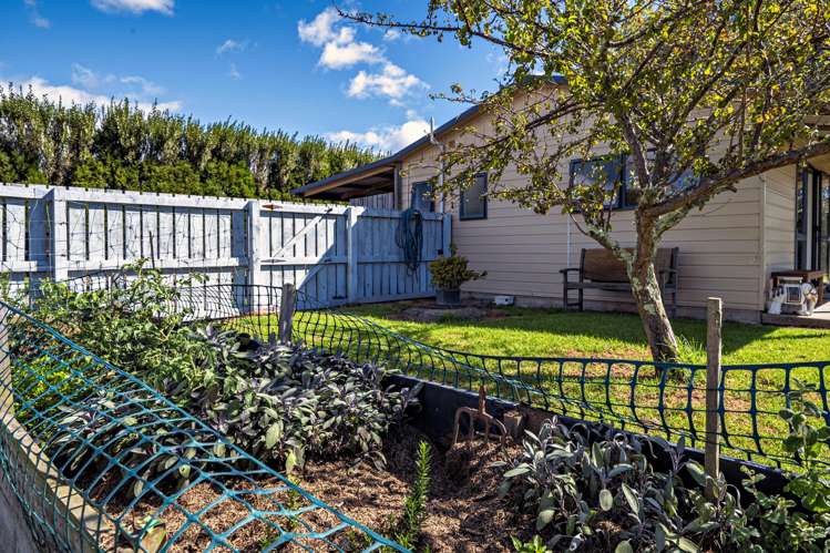 161 Duke Street Opotiki and Surrounds_16