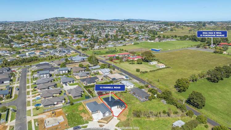 12 Farrell Road Pukekohe_21