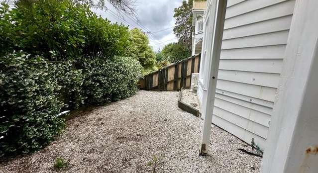 Renovated Studio with Garden in Grey Lynn