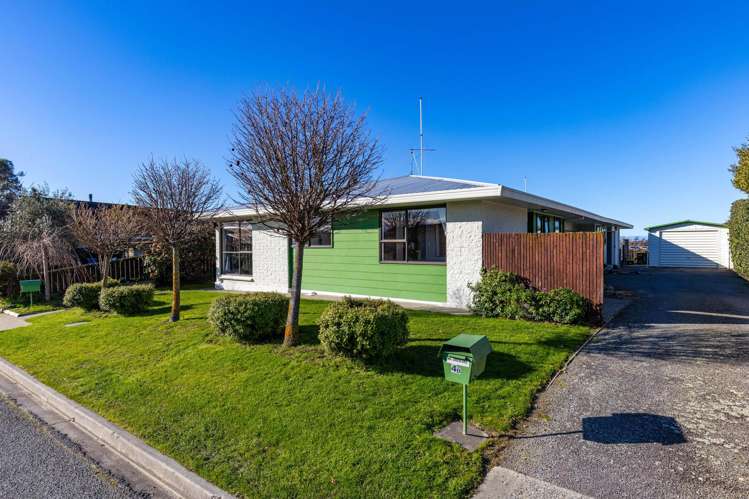 4a Totara Place Redwoodtown_3