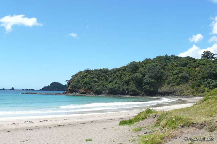 Lot 1 Tern Lane Whananaki_12