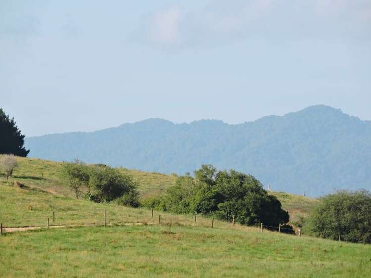 Taotaoroa Road Matamata_8