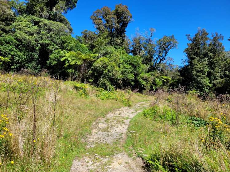 254 Doughboy Road Kokatahi_57