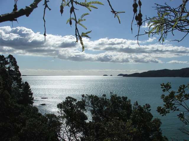 604 Wyuna Bay Road Coromandel_2