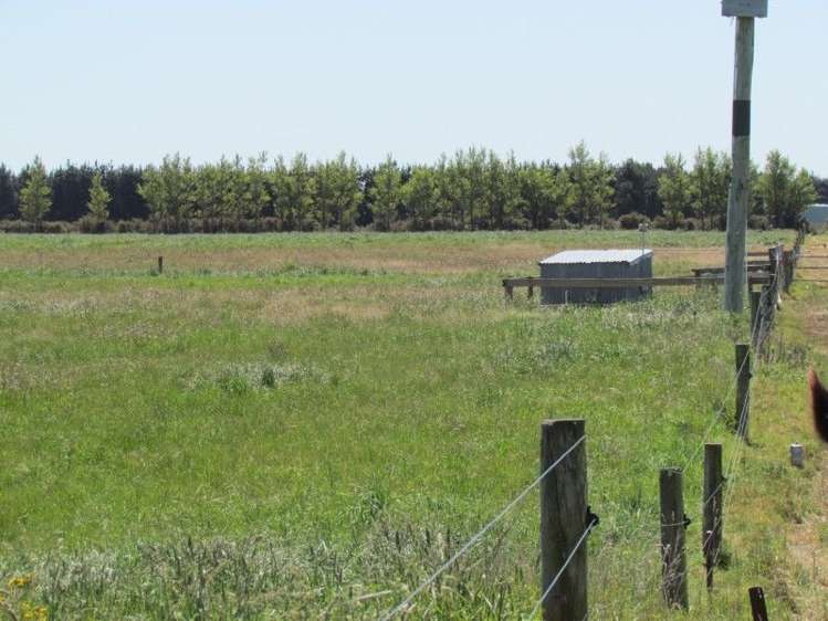 255 Cowans Road Leeston_11