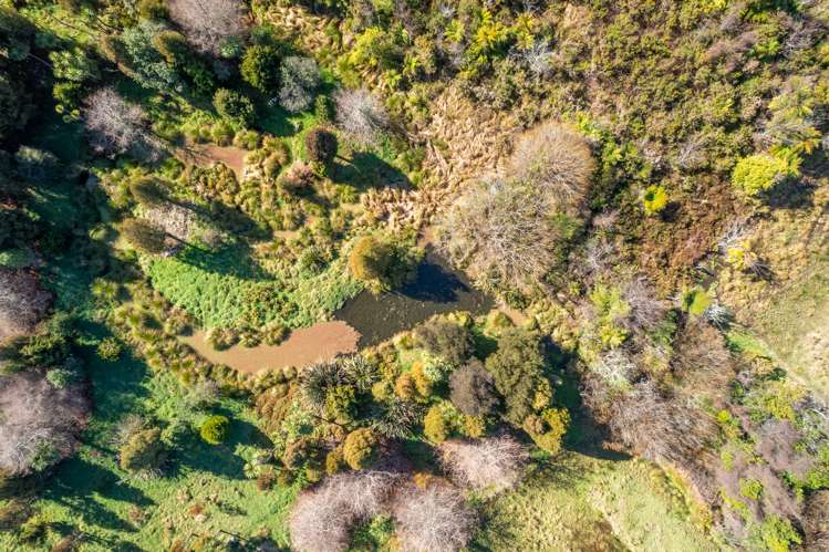 70 Harvey Road Marahau_24