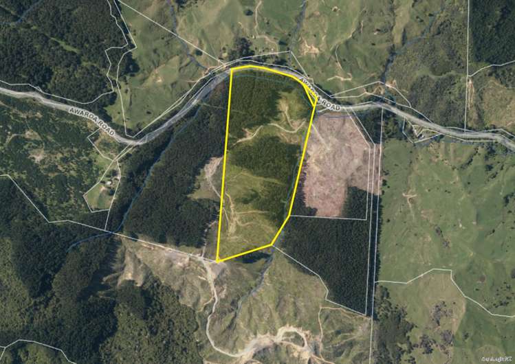 Awaroa Road Herekino_0