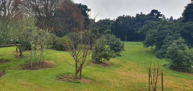 307b Te Puke Highway Papamoa_6