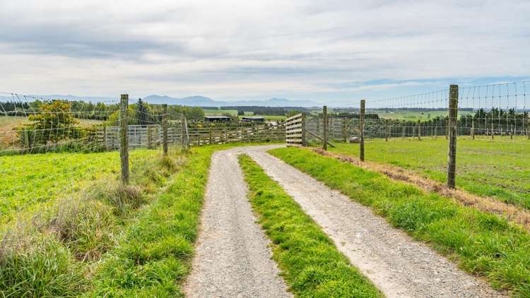 336 Spur Road Rosewill_29