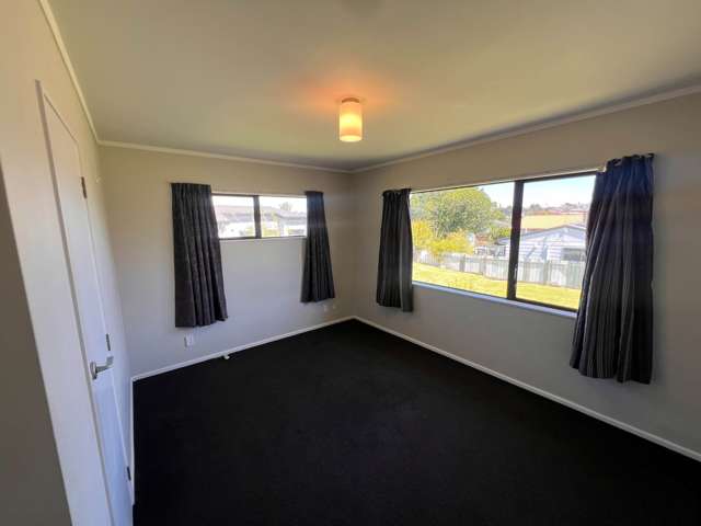 Subritzky Avenue Mt Roskill_4