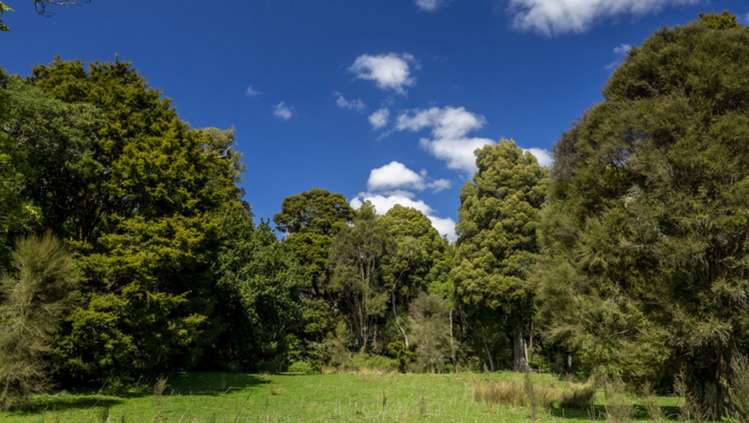 851 Clifton Grove Road Gladstone_19